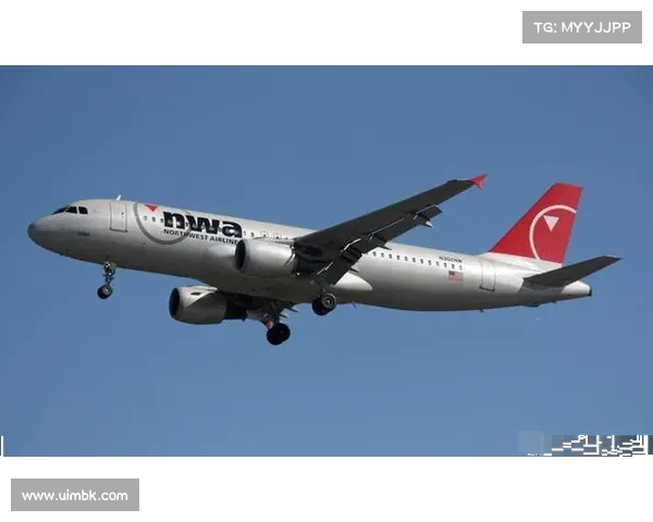 勒索软件扰乱美国航空飞行员工会 媒体