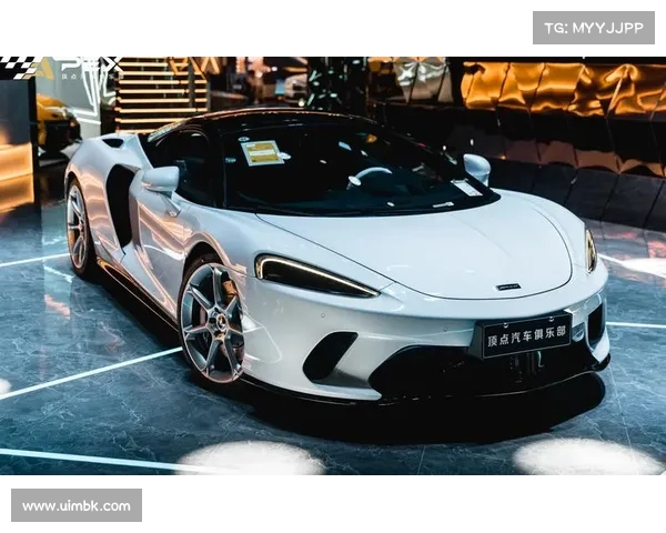 近220万人受到迈凯伦健康护理数据泄露的影响 媒体