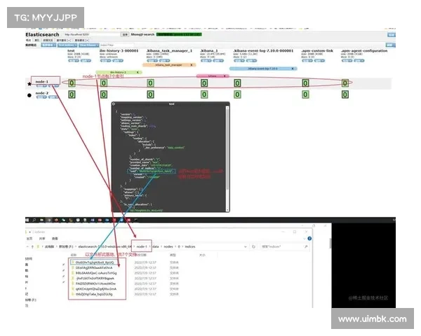 配置错误的Elasticsearch数据库泄露了76万中国车主的信息 媒体